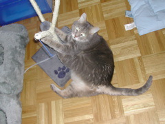 DSCN4833.JPG
