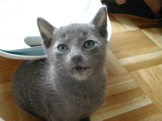 Matchka
