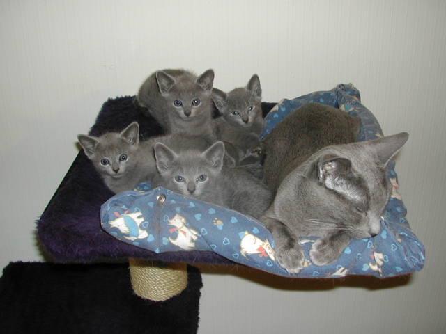 DSCN4892.JPG