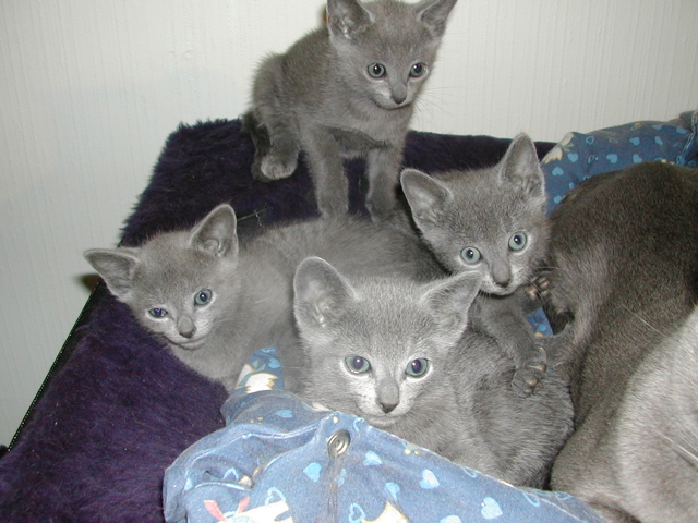 DSCN4896.JPG