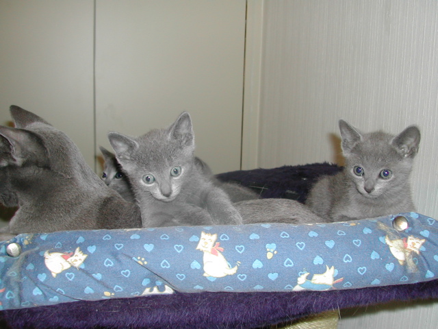 DSCN4897.JPG