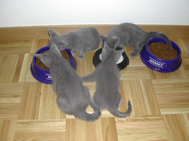 DSCN4898.JPG