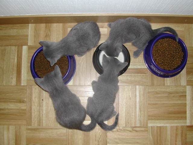 DSCN4899.JPG