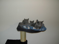 DSCN4890.JPG