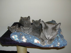 DSCN4891.JPG