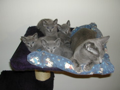 DSCN4892.JPG