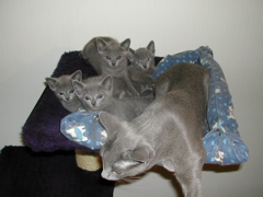 DSCN4893.JPG
