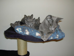 DSCN4894.JPG