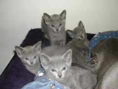 DSCN4895.JPG
