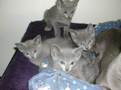 DSCN4896.JPG