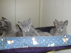 DSCN4897.JPG