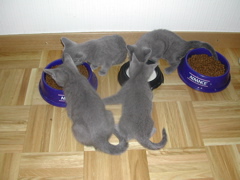 DSCN4898.JPG