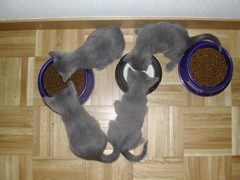 DSCN4899.JPG