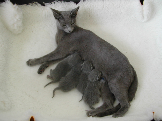 DSCN4291.JPG