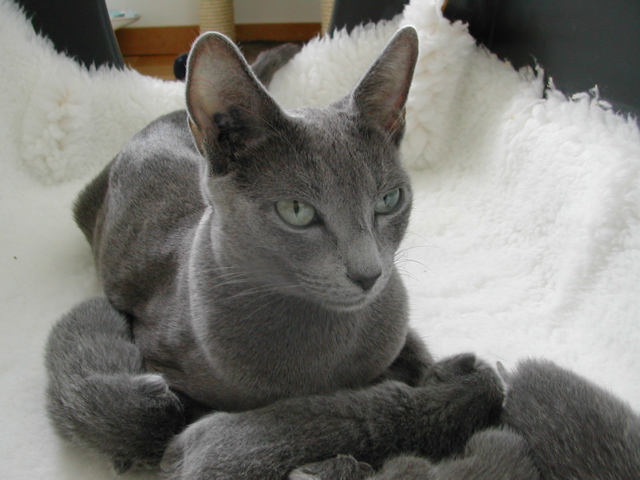 DSCN4268.JPG