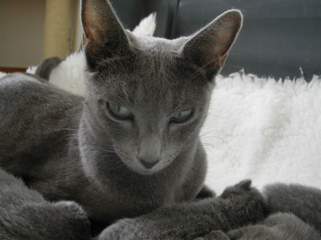 DSCN4269.JPG