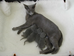 DSCN4291.JPG
