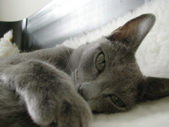 DSCN4285.JPG