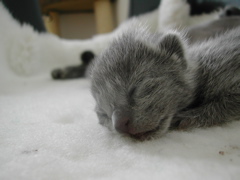 DSCN4283.JPG