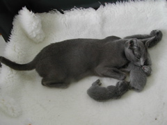 DSCN4275.JPG