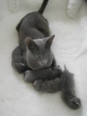 DSCN4271.JPG