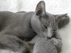 DSCN4274.JPG