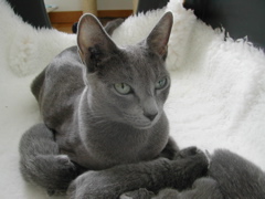 DSCN4268.JPG
