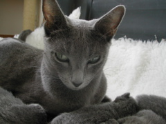 DSCN4269.JPG