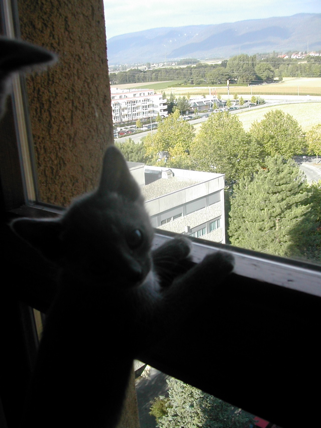 DSCN4913.JPG