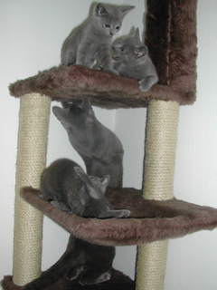 DSCN4905.JPG