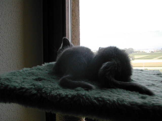 DSCN4941.JPG