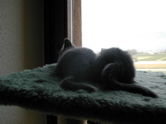 DSCN4941.JPG