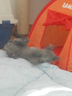 DSCN5053.JPG