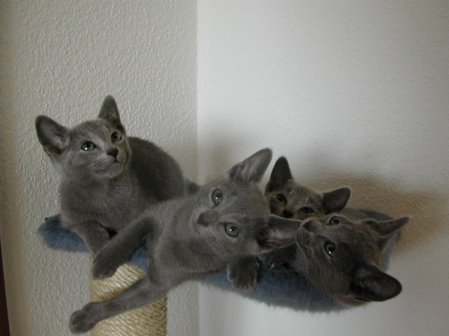 DSCN5065.JPG