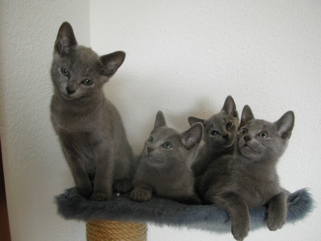 DSCN5078.JPG