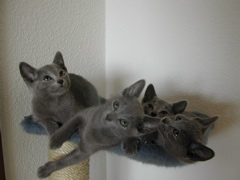 DSCN5065.JPG