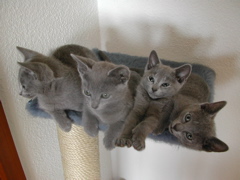 DSCN5069.JPG