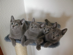 DSCN5070.JPG