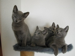 DSCN5078.JPG