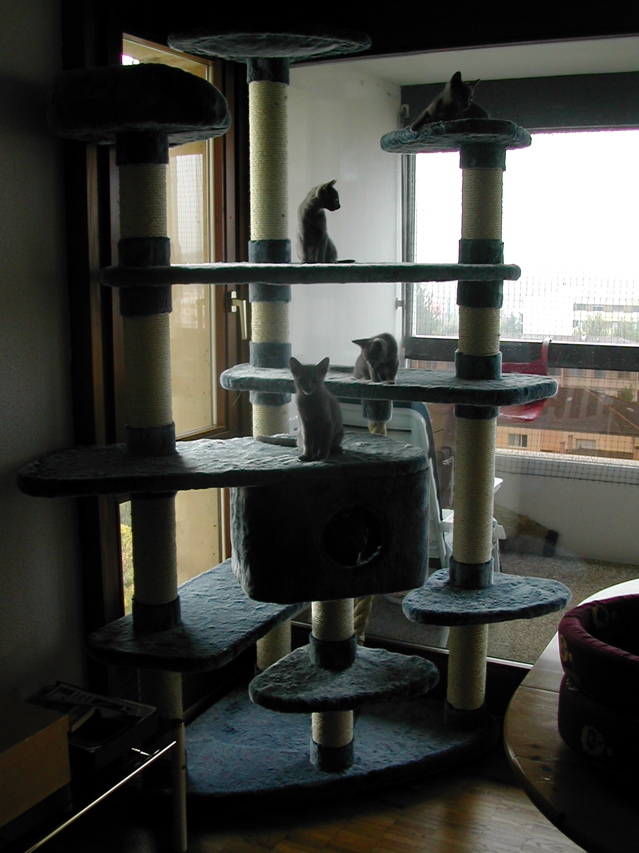 DSCN5135.JPG