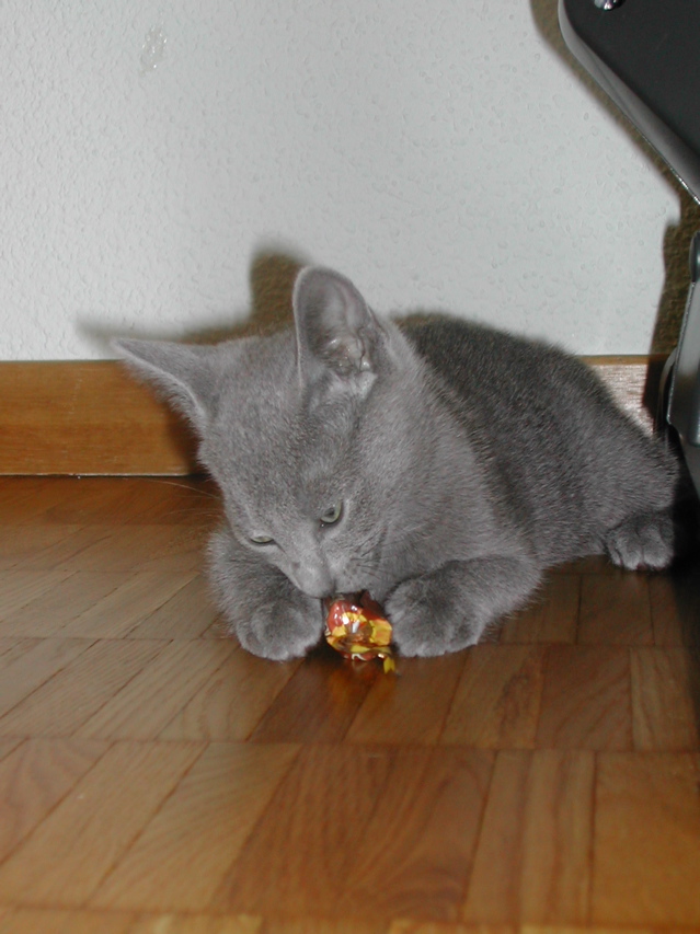 Matchka