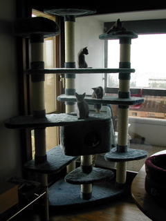 DSCN5135.JPG