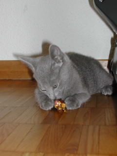 Matchka