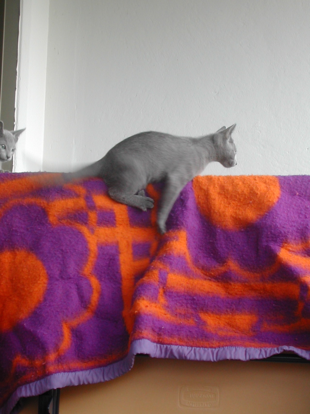 Matchka
