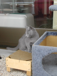 Matchka