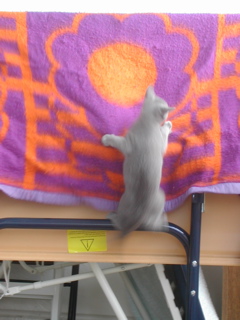 Matchka