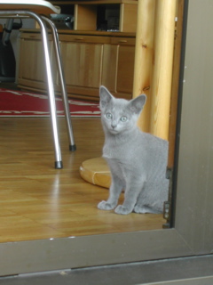 Mylha