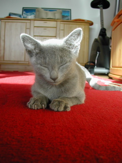 Mylha