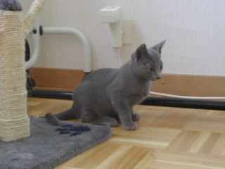 Matchka
