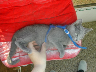 Matchka